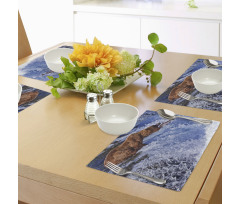 Grizzly Bear at Katmai Place Mats