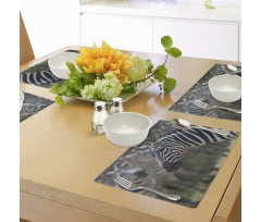 Zebra in Serengati Park Place Mats