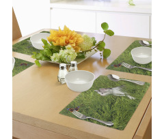 Cat and Butterfly Place Mats