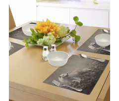 White Wolf on the Rocks Place Mats