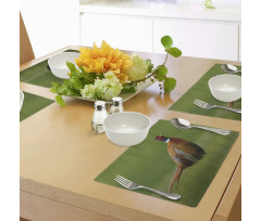 Pheasant Long Tail Meadow Place Mats