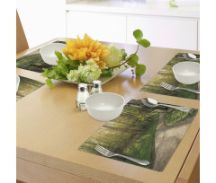 Footpath Green Park Place Mats