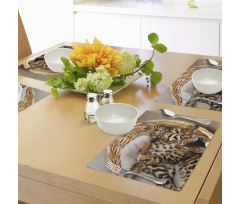 Bengal Cats in Basket Place Mats