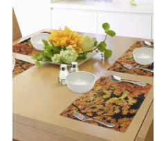 Vivid Autumn Maple Leaves Place Mats