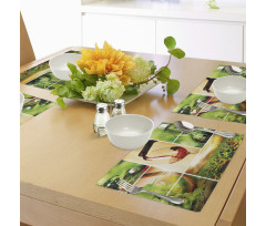 Wine Tasting Grapevine Place Mats