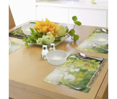 Young Vine Green Spring Place Mats