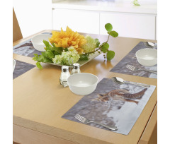 Snowy Country Furry Animal Place Mats