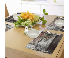 Worn Looking Wall Photo Place Mats