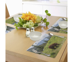 Fur Animal Nature Habitat Place Mats