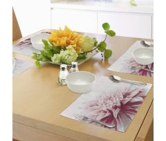 Close up Floral Blossom Place Mats