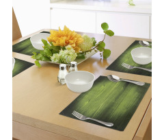 Timber Wood Surface Place Mats