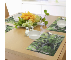 Park in South China Place Mats