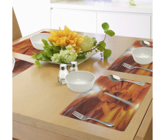 Sandstone Sunbeam Canyon Place Mats