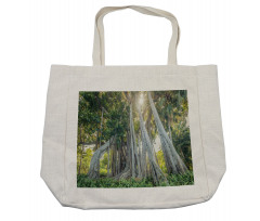 Giant Ficus Trunk Sunbeams Shopping Bag