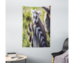 Ring Tailed Funny Expression Tapestry