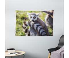 Ring Tailed Funny Expression Wide Tapestry