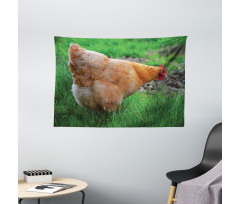 Chicken on Grass Farm Photo Wide Tapestry