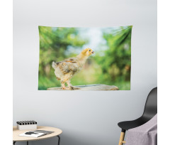 Little Baby Chicken on Log Wide Tapestry