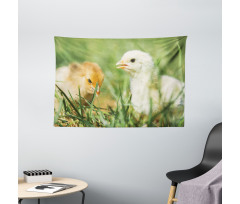 Close up Photo Baby Chickens Wide Tapestry