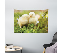 Baby Chickens Photo Wide Tapestry