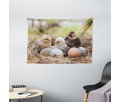 Little Chickens in Hay Eggs Wide Tapestry