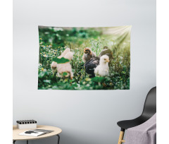 Little Chickens in Daisies Wide Tapestry