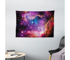 Magellanic Cloud Stars Wide Tapestry