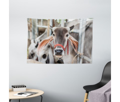 Cow Eating Grass Wide Tapestry