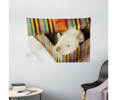 Newborn Dog in Gift Box Photo Wide Tapestry