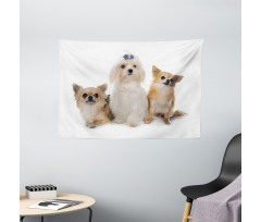 Chihuahua and Maltese Dogs Wide Tapestry