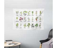 Natural Treatment Infographic Wide Tapestry