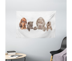 Pets Peeking over Wall Wide Tapestry