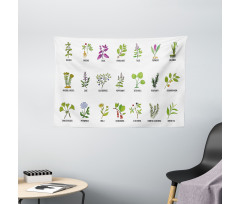 Educational Herbs Design Wide Tapestry