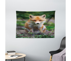 Young Coyote Photo Wide Tapestry