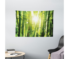 Sun Beams in Wild Jungle Wide Tapestry