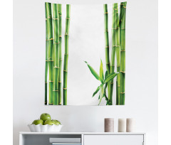 Ağaçlar Mikrofiber Duvar Halısı Bambu ve Yaprak Desenli