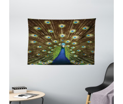 Peacock with Feathers Wide Tapestry