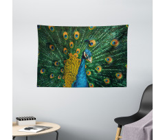 Portrait of the Peacock Wide Tapestry