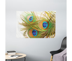 Modern Peacock Feathers Wide Tapestry