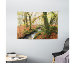 Misty Woods Cornwall Wide Tapestry