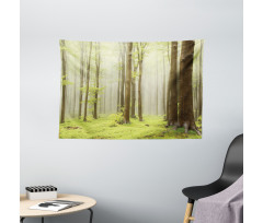 Misty Beech Forest Photo Wide Tapestry