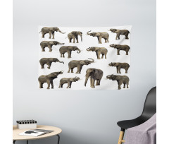 Elephants Tusk Ear Wide Tapestry