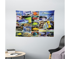 Collage of Underwater Wide Tapestry