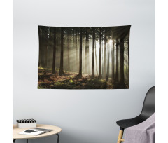 Morning Forest Scenery Wide Tapestry
