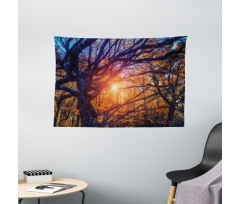 Majestic Trees Woods Wide Tapestry