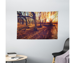 Sunset Forest Trees Wide Tapestry