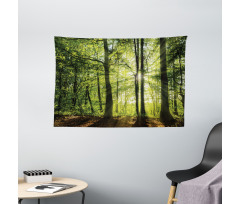 Sunny Forest Springtime Wide Tapestry