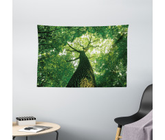 Leaves Tree Branches Wide Tapestry