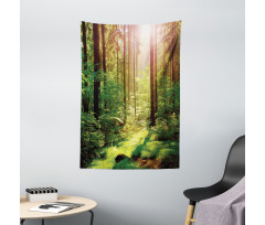 Sunset Moss Woods Trees Tapestry