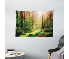 Sunset Moss Woods Trees Wide Tapestry